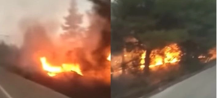 Εκτός ελέγχου η φωτιά στη Χαλκιδική -Καίγεται δάσος, κλειστοί δρόμοι, χωριά χωρίς ρεύμα και τηλέφωνο (βίντεο)
